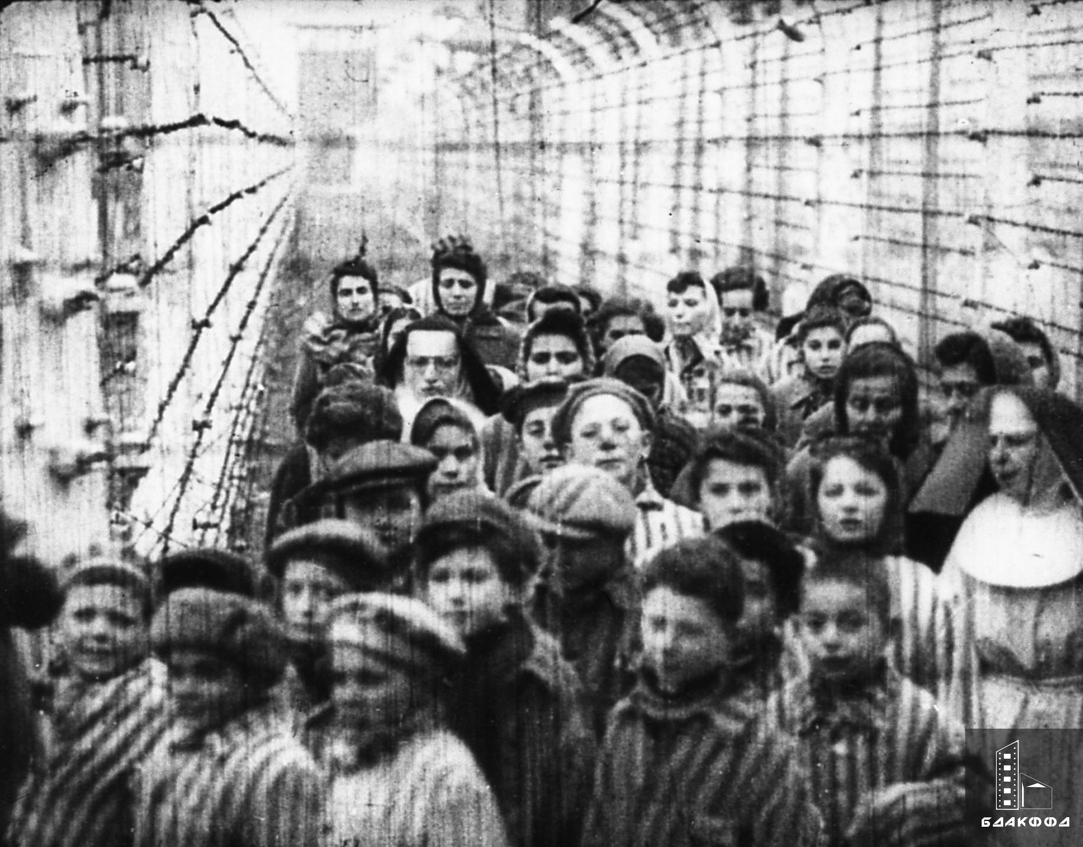 Концентрационный лагерь "Освенцим"
